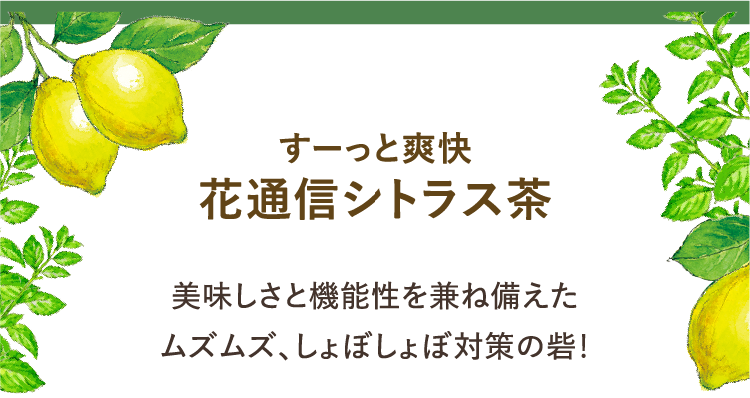 すーっと爽快 花通信シトラス茶 美味しさと機能性を兼ね備えたムズムズ、しょぼしょぼ対策の砦!