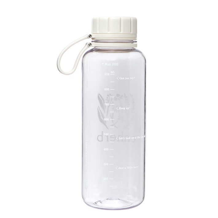 1L
