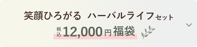 税込11,000円福袋 「輝きのハーバルビューティー　ケアセット」を見る