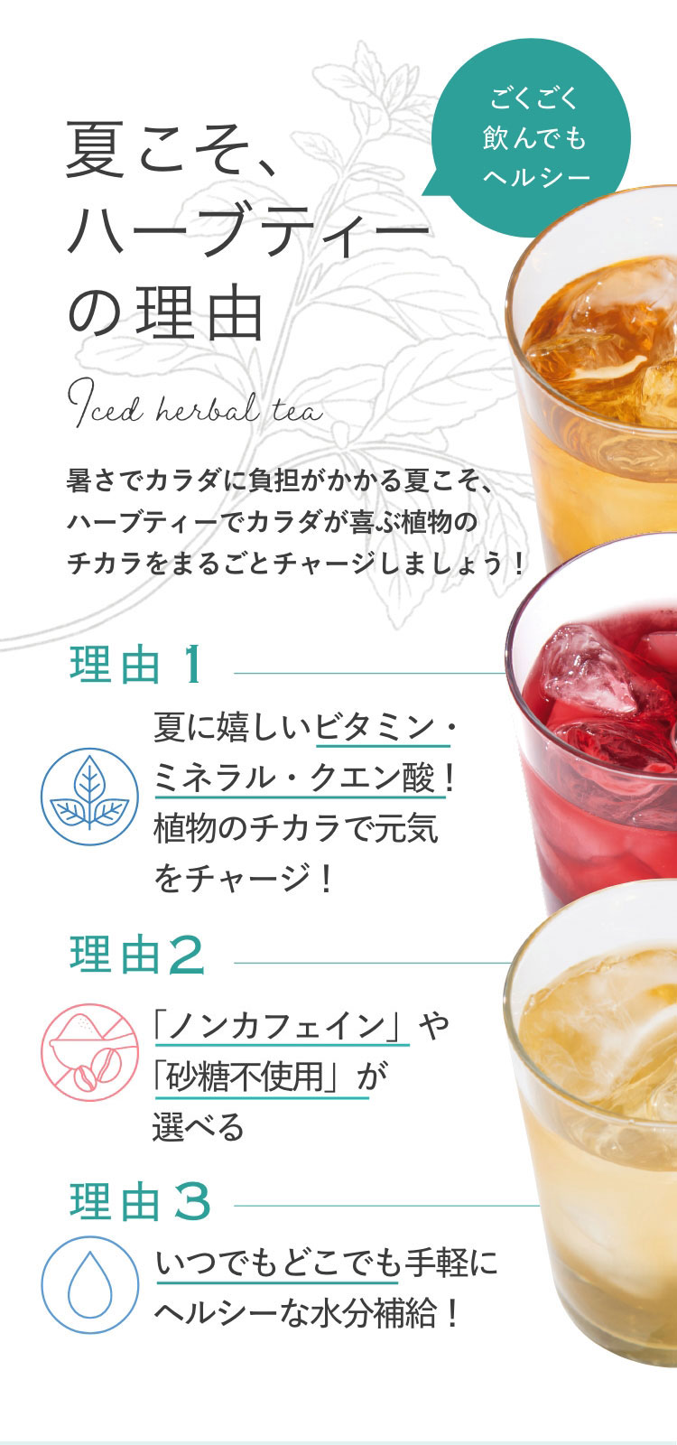 ハーブ専門店「enherb（エンハーブ）」公式WEBサイト アイスハーブティー特集／サントリーグループのハーブ専門店「enherb（エンハーブ）」 ハーブティー・エッセンシャルオイル・ハーブコスメ] [株式会社コネクト]