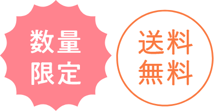 数量限定／送料無料