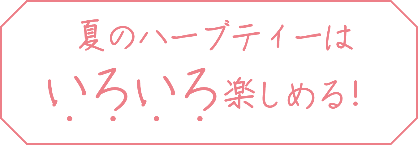 夏のハーブティーはいろいろ楽しめる！