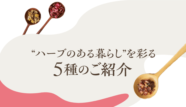 ”ハーブのある暮らし”を彩る5種のご紹介